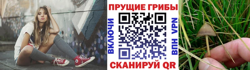 Галлюциногенные грибы мухоморы  наркотики  гидра tor  Санкт-Петербург 
